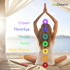 The Seven Chakras