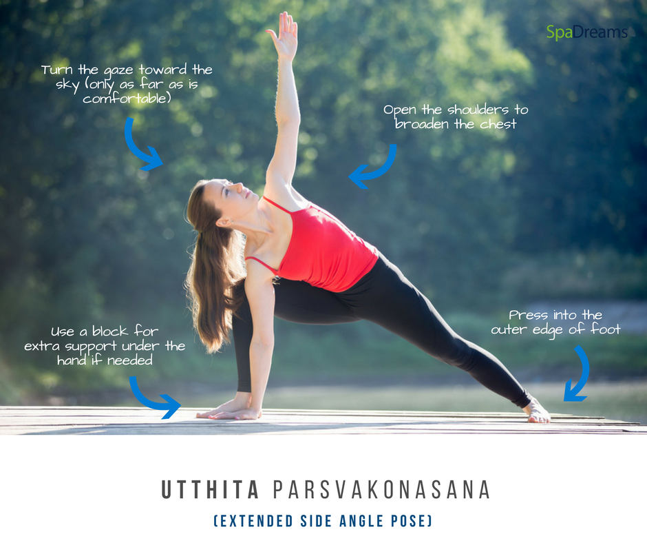7 Yoga Poses Every Yogi Should Know | the urbivore