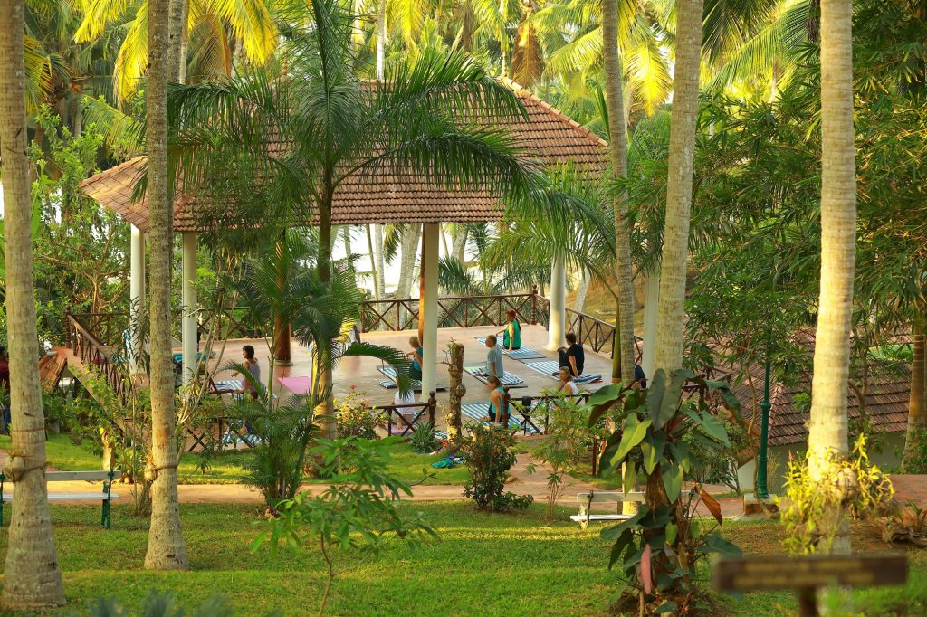 Top 5 Asian Yoga Retreats with Ayurveda