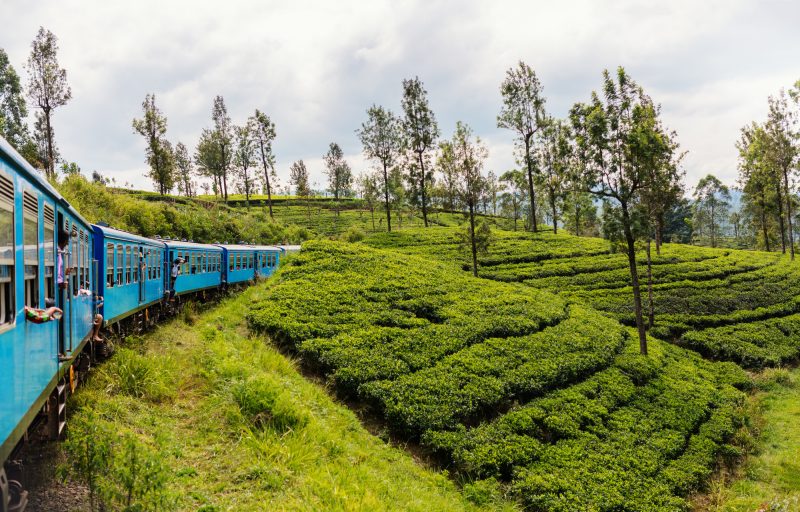 7 Reasons Why Holidaying in Sri Lanka Saves You Money